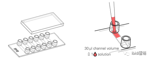 免疫荧光实验方案 |使用 Ibidi µ-Slide VI 0.4简便快捷、四步搞定~ - 知乎