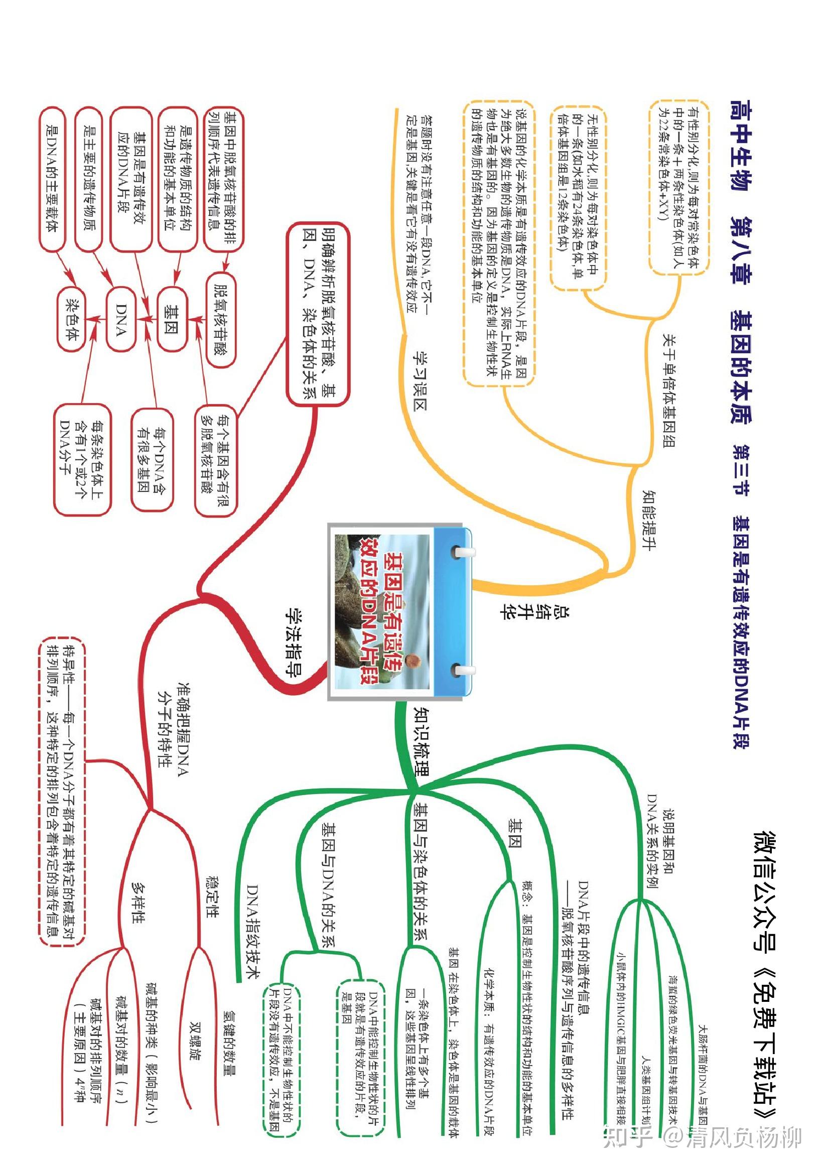 高中生物全套思维导图高清版竖版