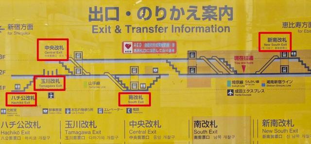 涩谷车站出口 周边景点与转乘方法全攻略 知乎