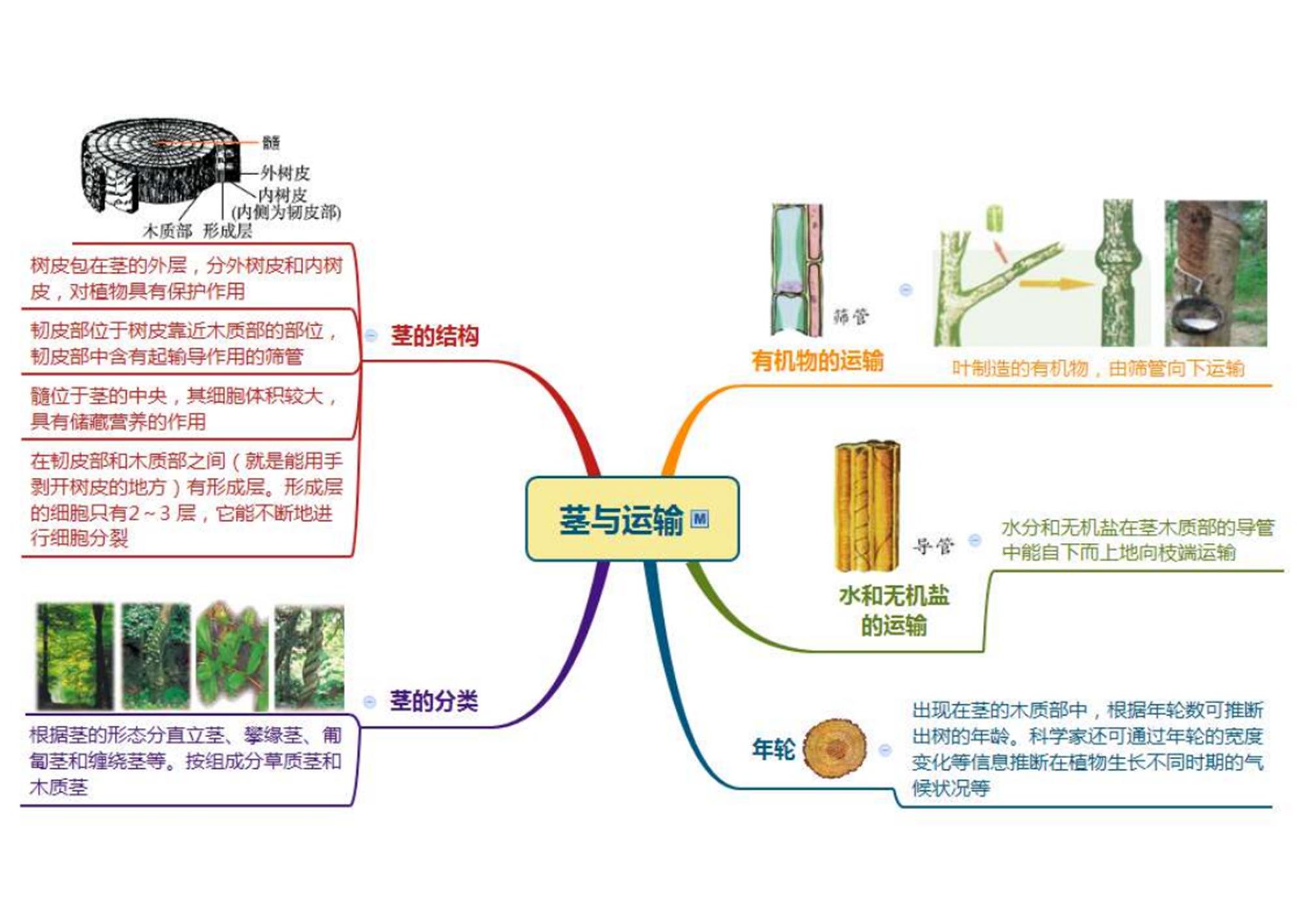 初中生物章節思維導圖26張完整版通儒公考圈精製免費共享