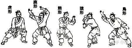 蛤蟆功螳螂拳像野兽一样去训练