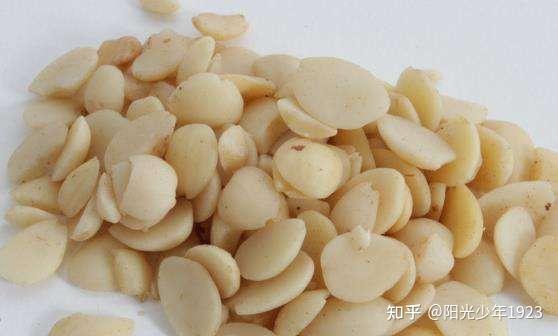 桃仁的功效与作用 - 知乎