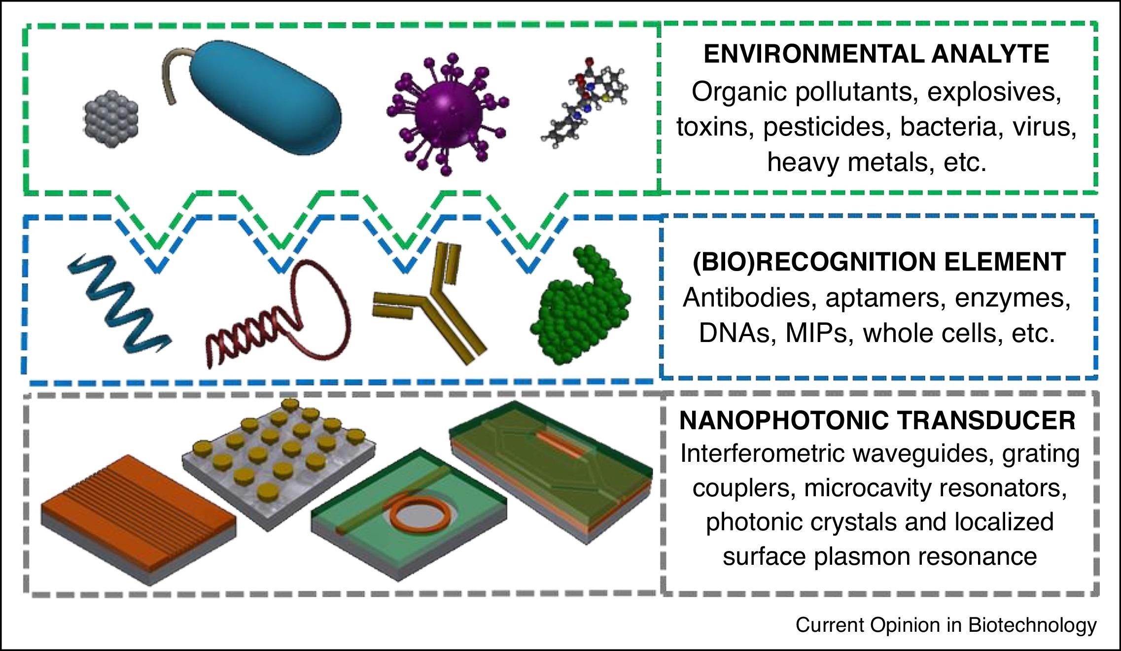 生物传感器的简单介绍
