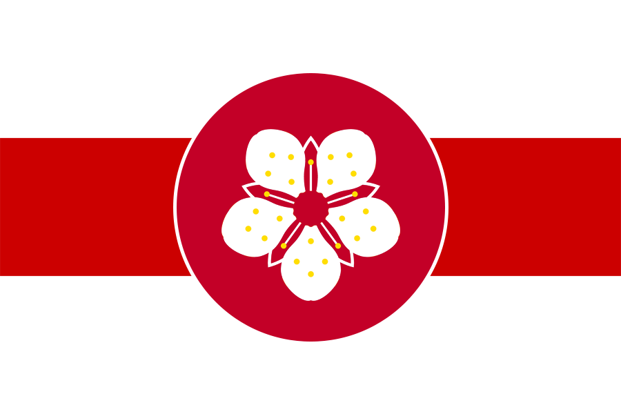 南日本共和国图片