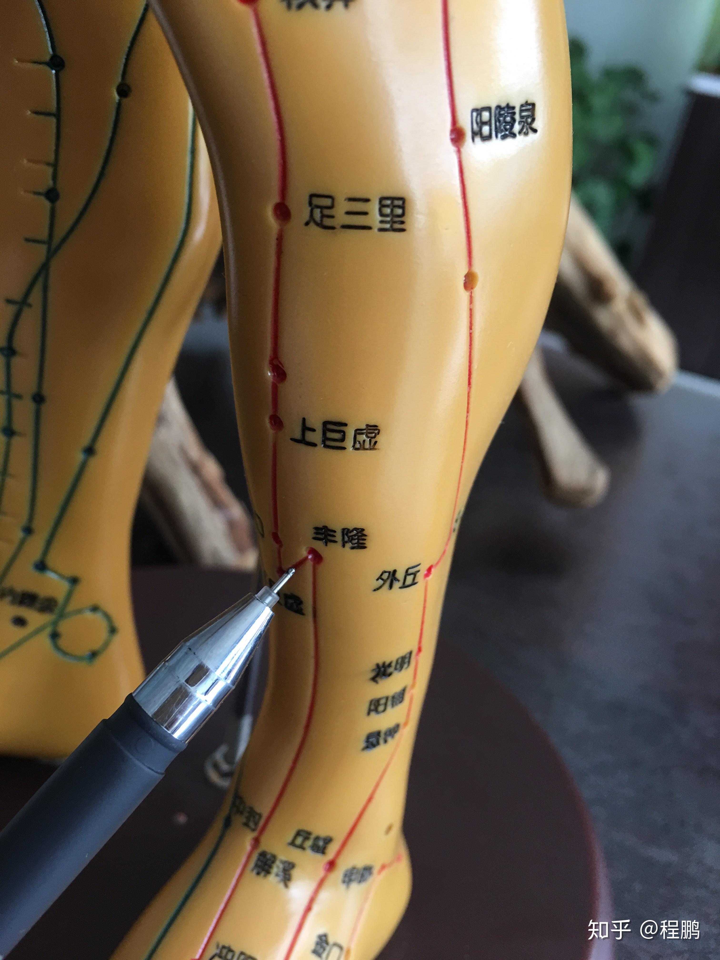 手太阳小肠经之支正穴腕横纹上五寸,这里(是)支正穴.