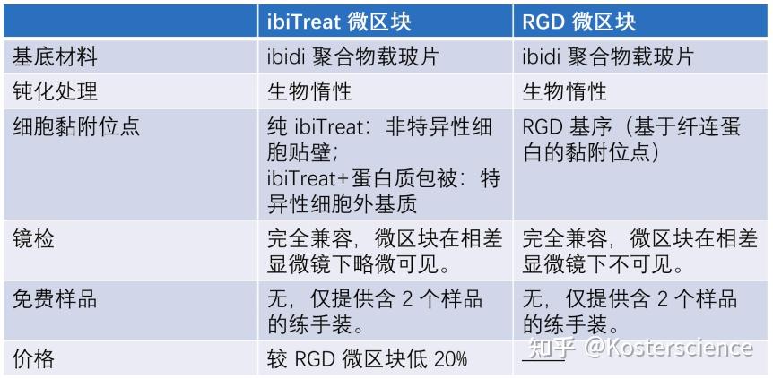 ibidi μ-Pattern 细胞微区块培养初探 - 知乎
