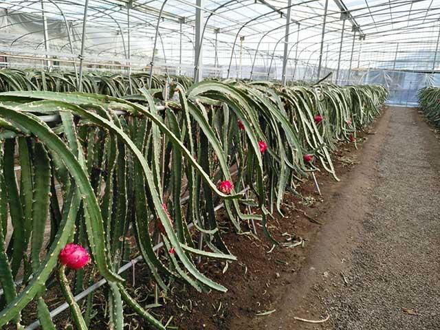 v2-823e8a2c9150e3efc89c53f0aa89af7d_1440w.jpg?source=172ae18b