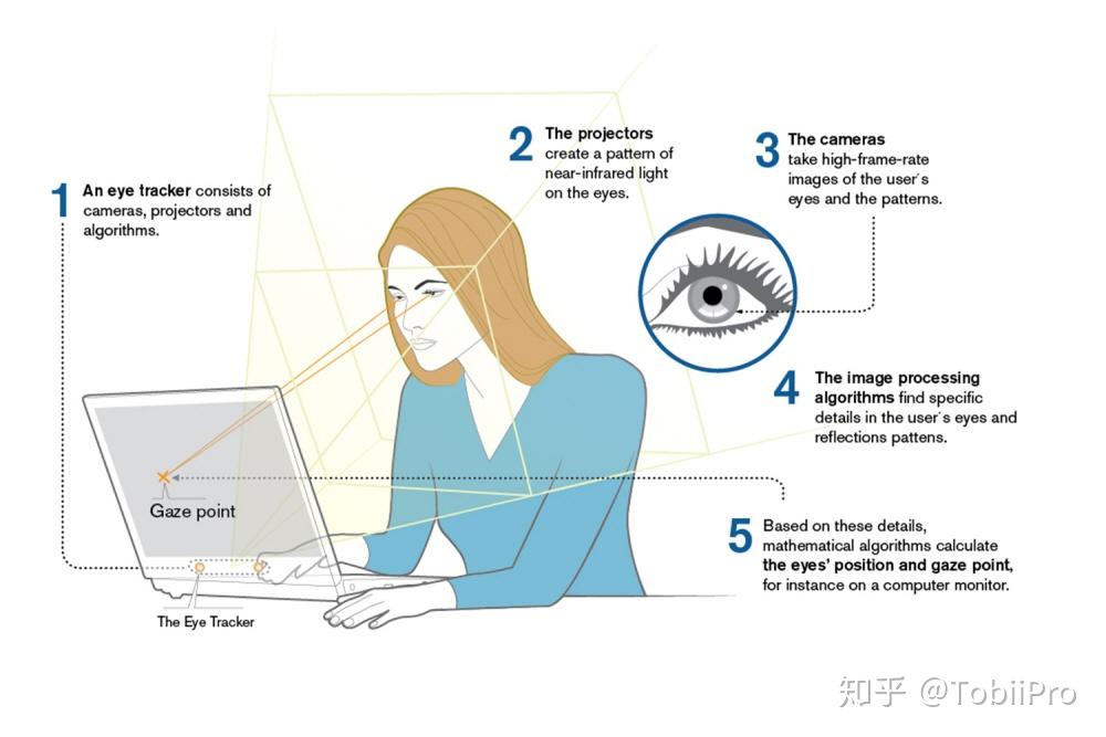 角膜反射图解图片