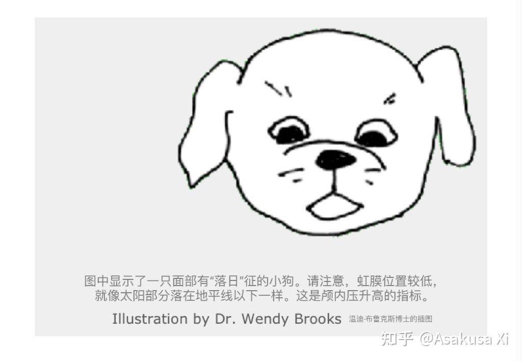宠物面部可能会表现出所谓的落日征(见下图),就是眼睛眼珠向下,甚至