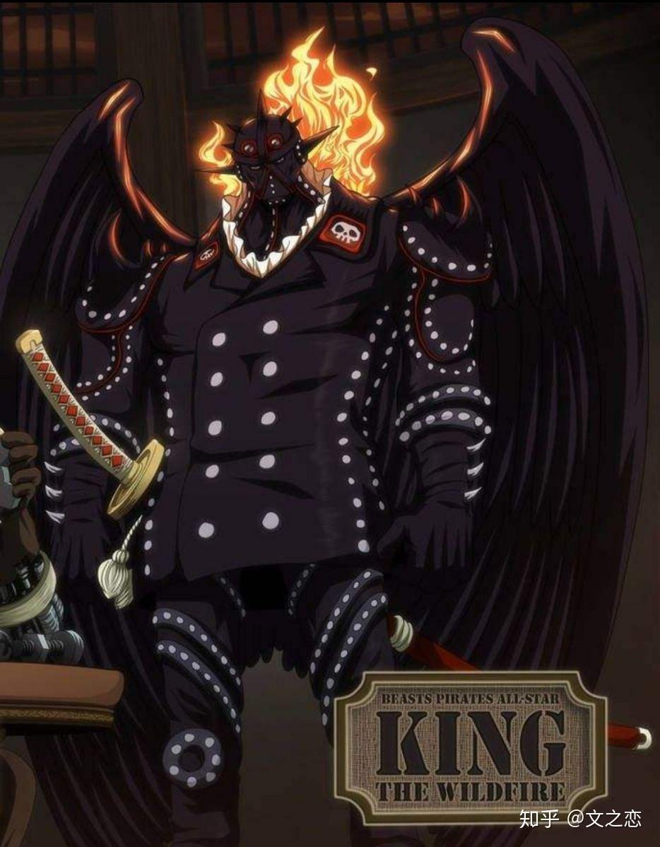 海贼王恶魔果实图鉴(十)