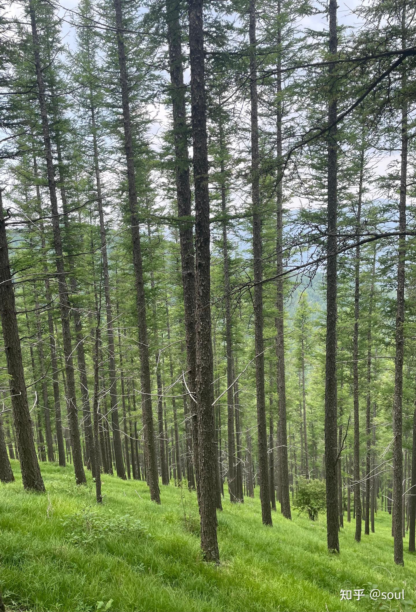 五台山顺时针朝台（70km)徒步攻略