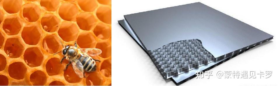 蜂窝夹层结构