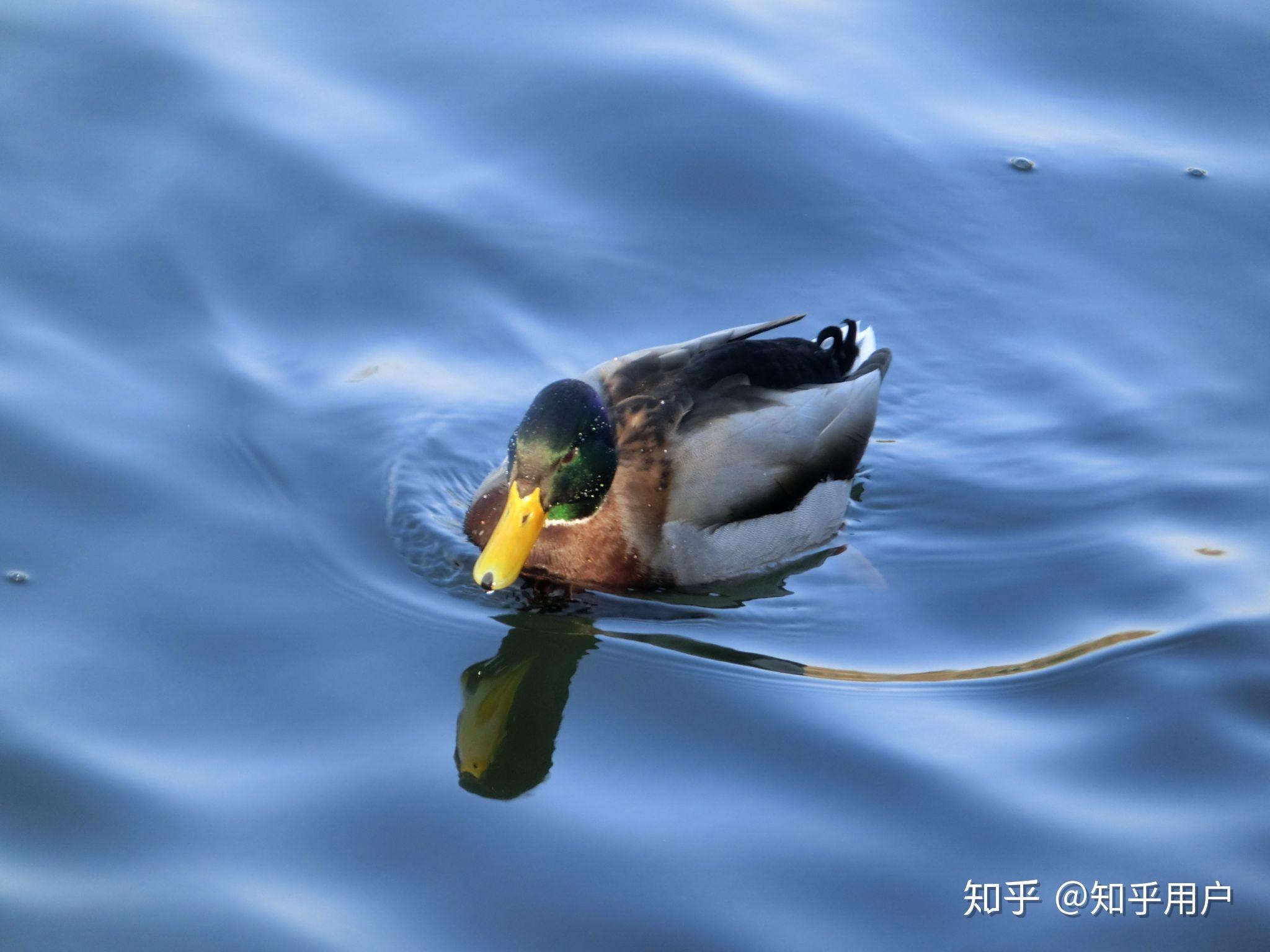 每一刻都是东山再起之时