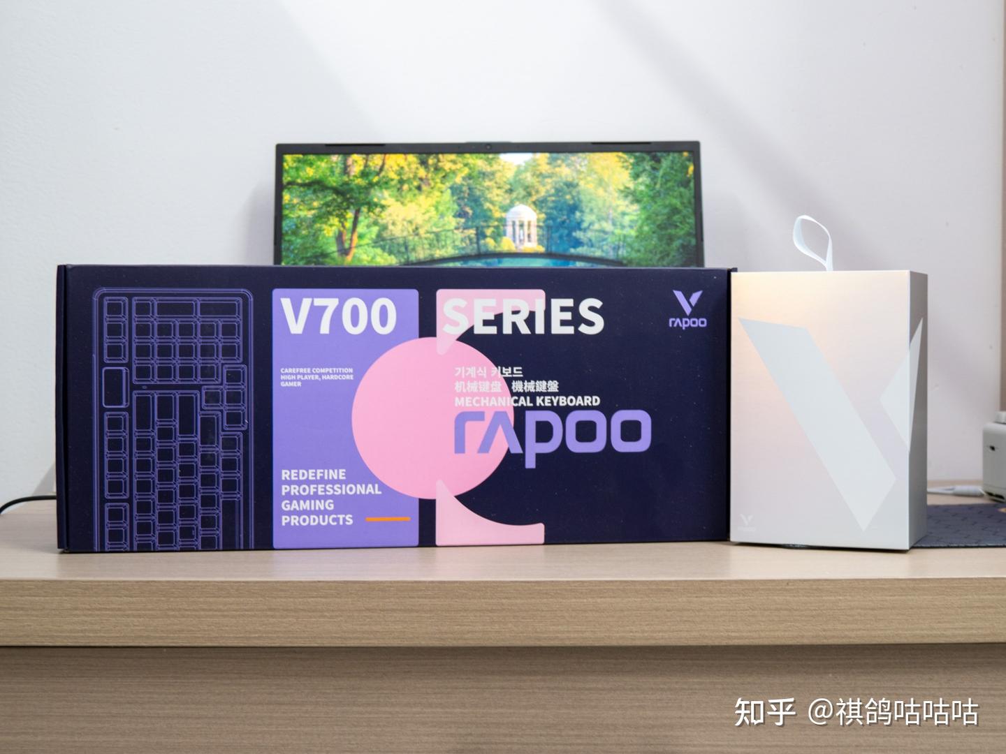 性能猛兽:雷柏VT9 MAX鼠标 + V700DIY-98长续航版最强续航无线键鼠套深度体验