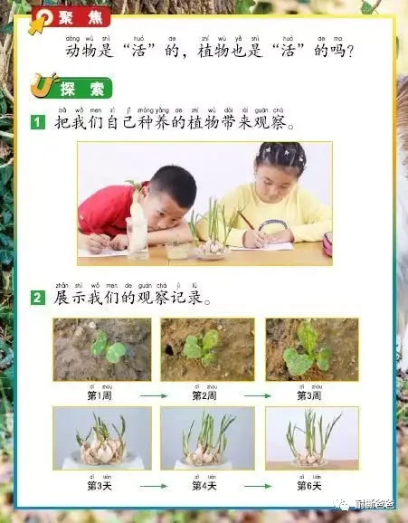 中美小学3套科学教材大对比 这是你要的 科学 么 知乎