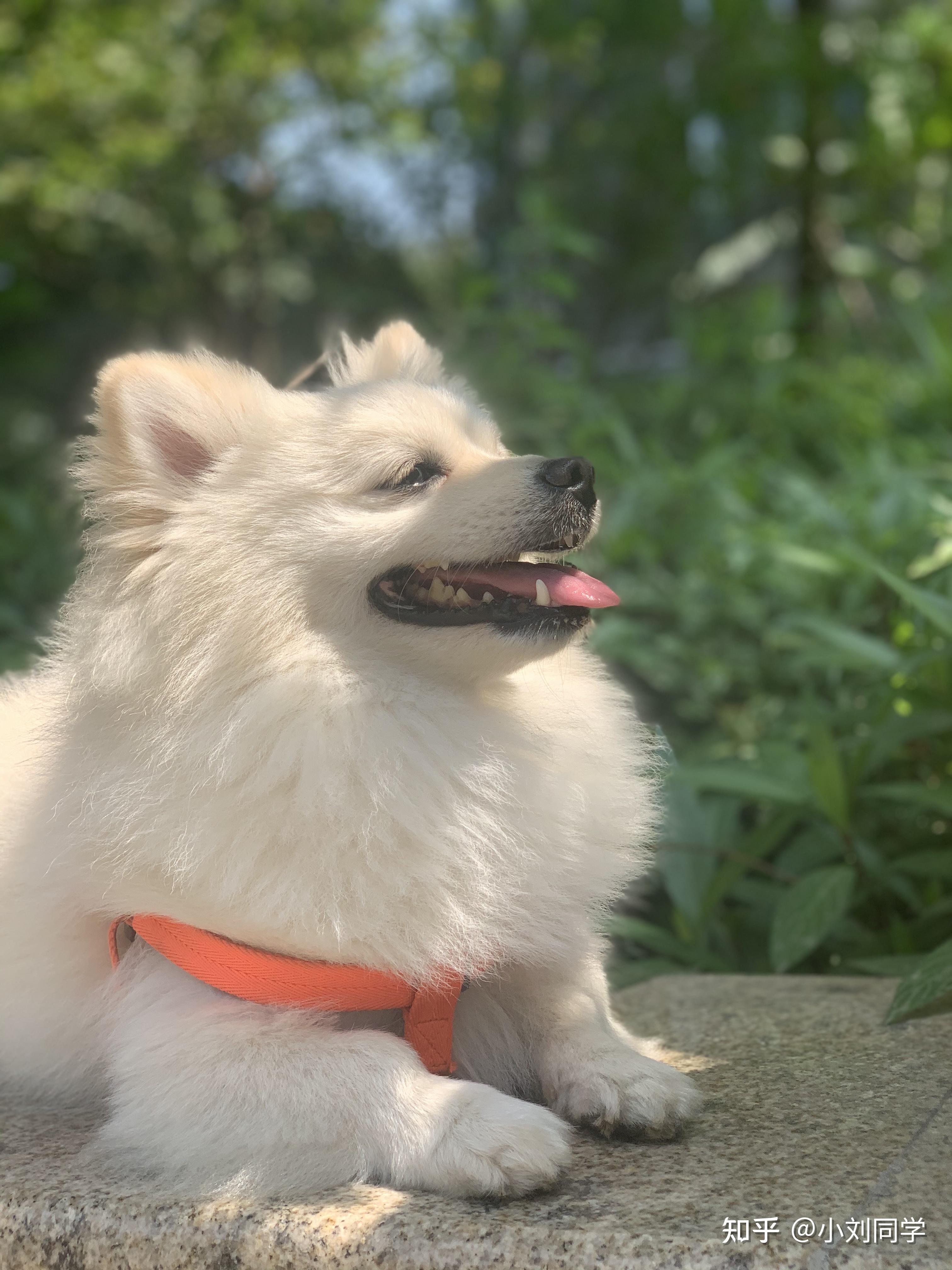 3024_4032竖版 竖屏