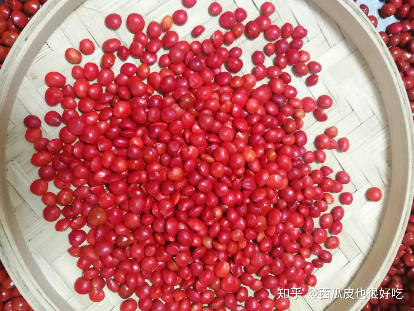 丹霞山旅游攻略——三日游