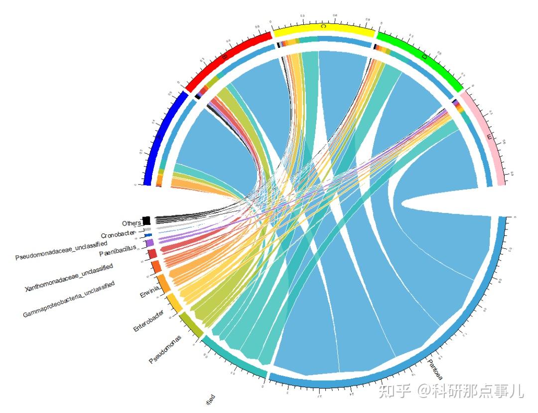 基于R语言的微生物群落组成多样性分析——物种丰度可视化之弦图（Chord Diagram） - 知乎
