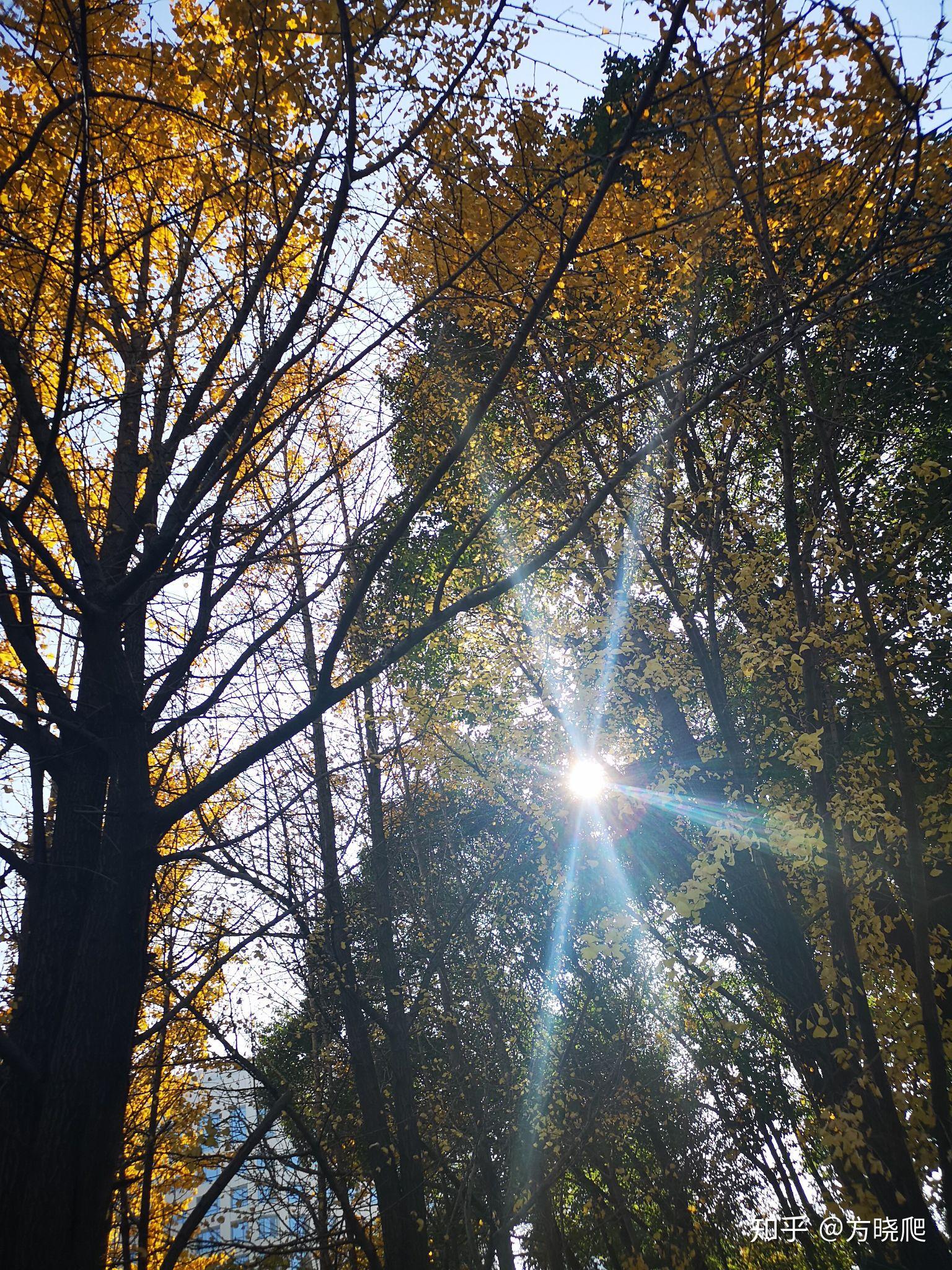 谁有趁阳光正好趁微风不燥的图片呢求图谢谢谢谢
