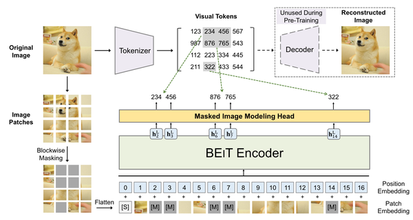 Mask Autoencoder 各类变体 - 知乎