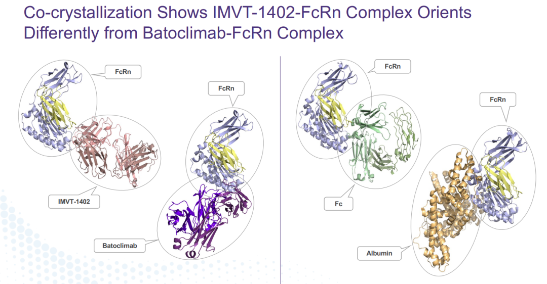 下一个潜在交易对象：Immunovant管线明晰，专攻重磅靶点FcRn - 知乎