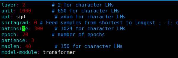 espnet中的transformer和LSTM語言模型對比實驗