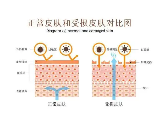 芳香世家产品疑似“过敏”？背后的原因竟然是...... - 知乎