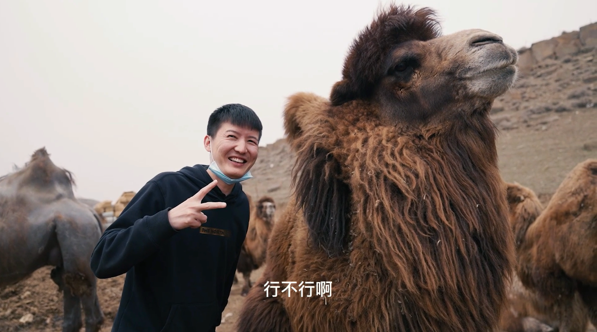 刚挤出来的骆驼奶什么味淡嘴哥花50元买一公斤结果没牛奶好喝