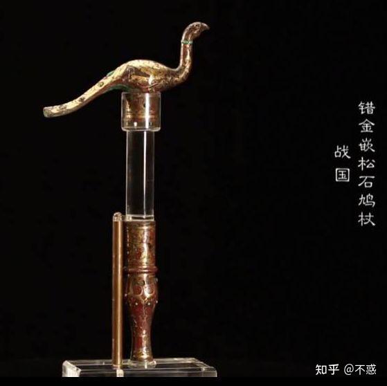 关关雎鸠-雎鸠就是最常见的野鸡 - 知乎