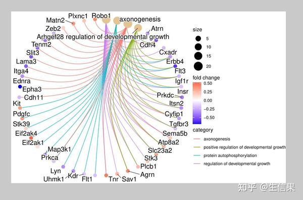 模式物种进行GO富集分析绘图 - 知乎
