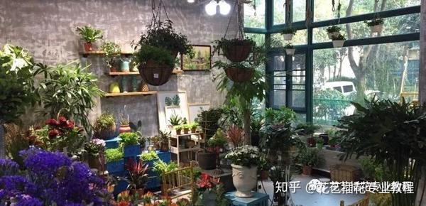 花店有几种类型 不同的类型经营方式有何差异 知乎
