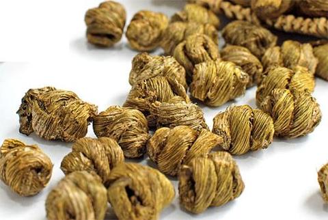 竹荪的功效与食用方法你知道多少?竹荪的质量如何鉴别?影响竹荪价格因素有哪些? - 知乎