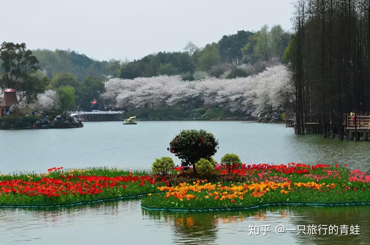 ▼湖南省森林植物園一次又一次的驚豔綻放▼梅嶺公園一個雖身處鬧市