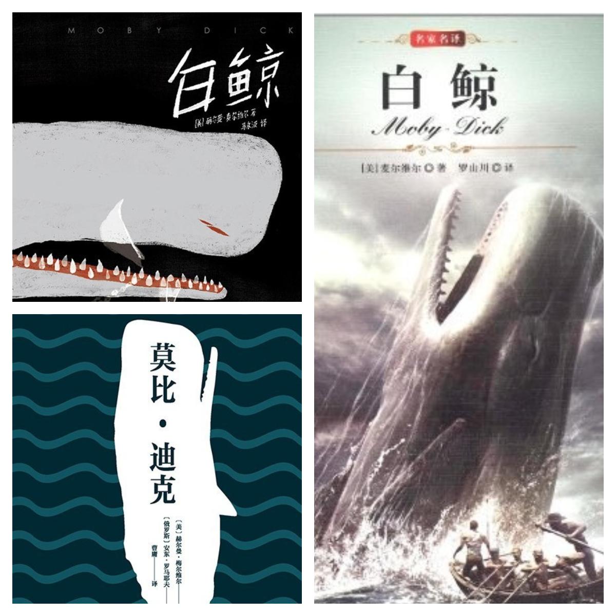 白鲸》三个译本对比- 知乎