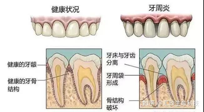 央视最新报道