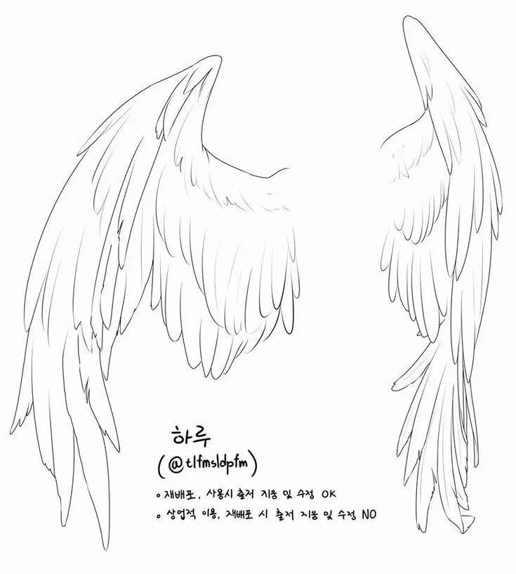 天使的翅膀画法简笔画图片
