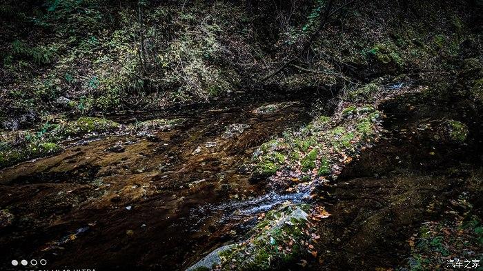 一人一唐,自驾洛南金丝峡,瞰五彩斑斓深秋神瀑峡沟