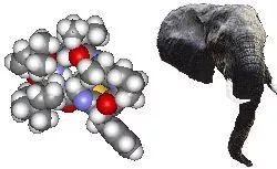 什么叫有机分子 v2-82f0215b0ee7381ee9d8230d93a0bbcd_b.jpg