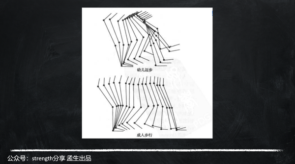 动中觉察：走路这项运动对于人体意味着很多 - 知乎