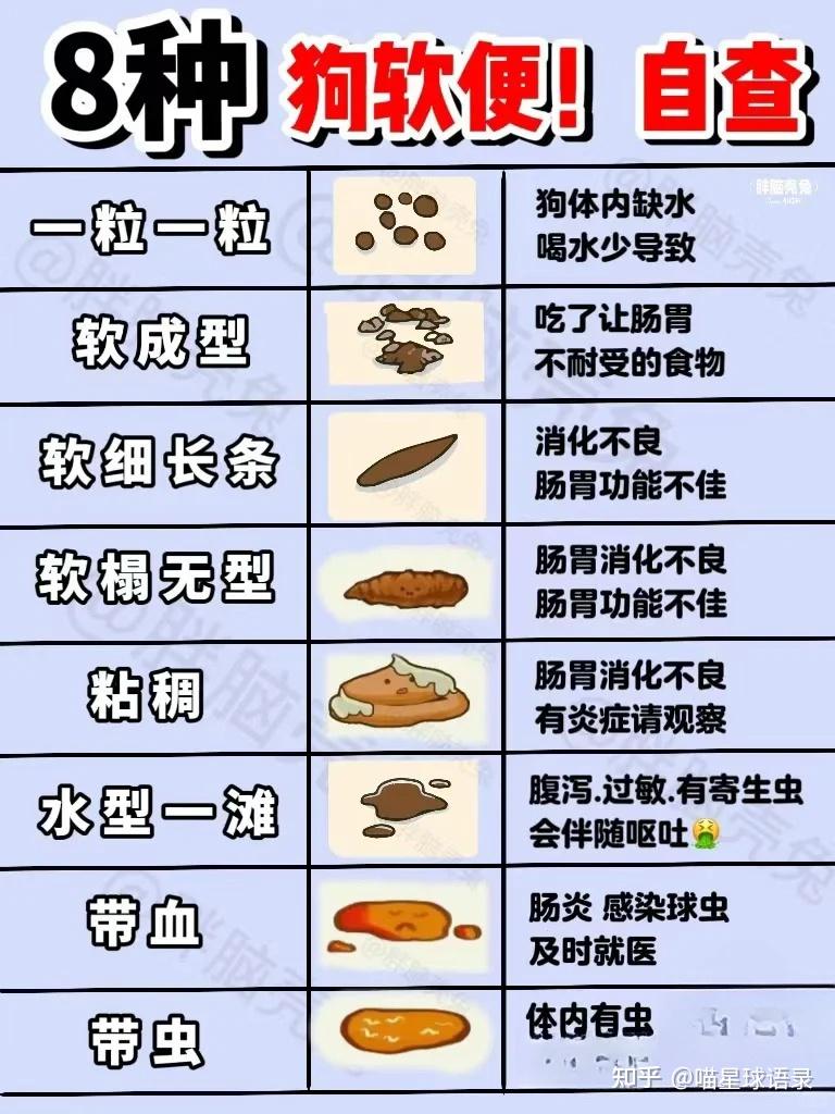 观察狗狗便便判断肠胃健康 - 知乎