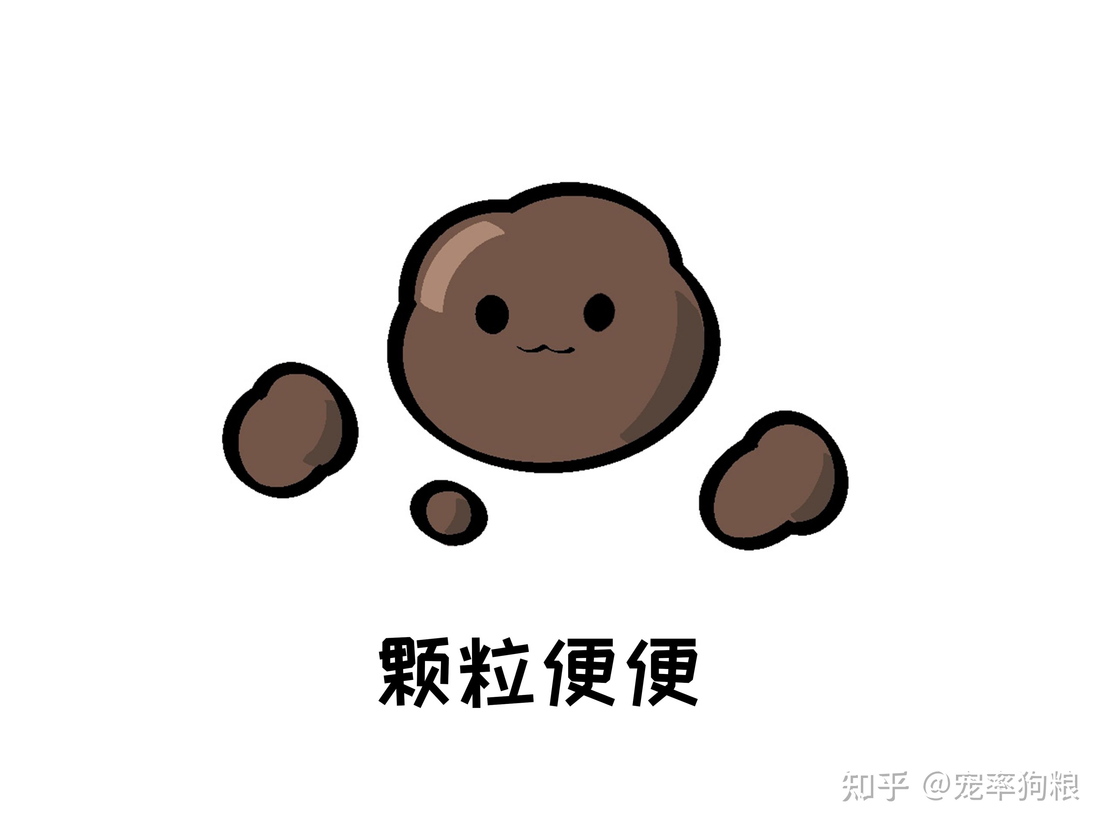 从狗狗的便便就能看出它是否健康可惜很多铲屎官不懂