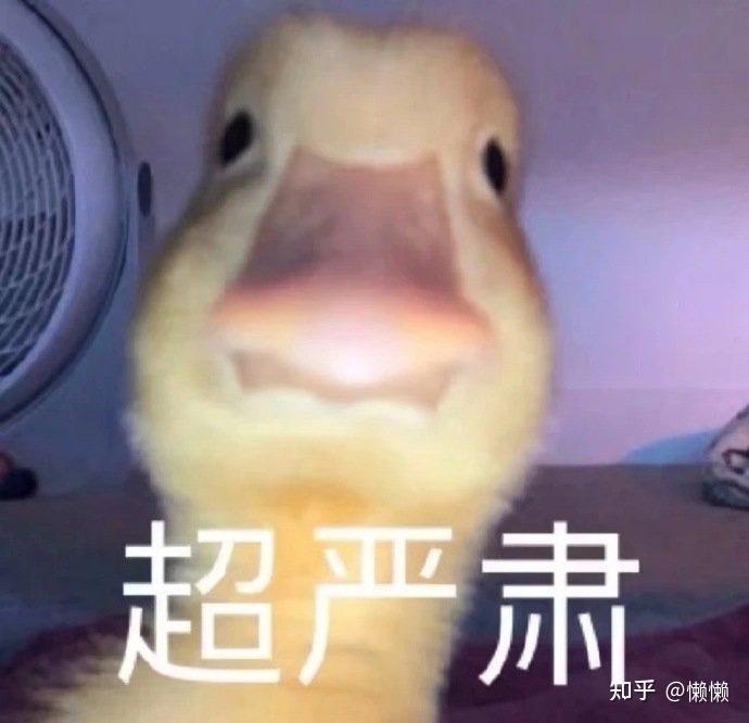 吃不胖文案沙雕壁纸,吃不胖的文案