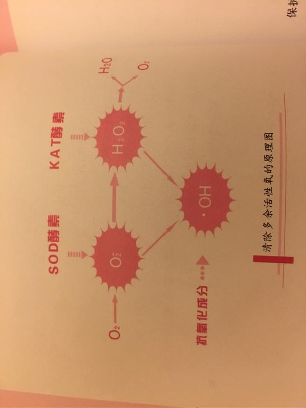 活性健康化妆品_大高酵素化妆姿生堂化收品_唯品会的化妆品是正品吗