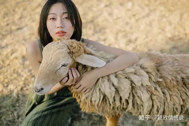 v2-832d86f982fcf7d0381b81c6f115ec5d_1440w