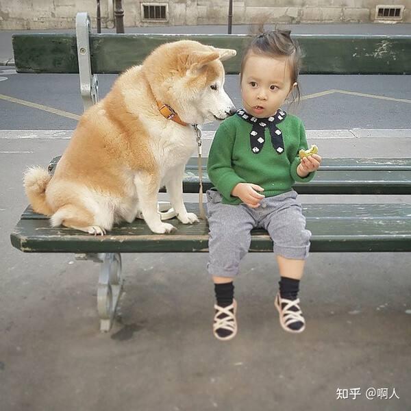 这几种人容易被狗咬，符合条件的就注意了！ - 知乎