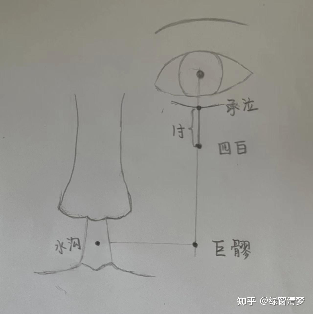 倪海厦针灸课笔记(12)— 足阳明胃经上 - 知乎