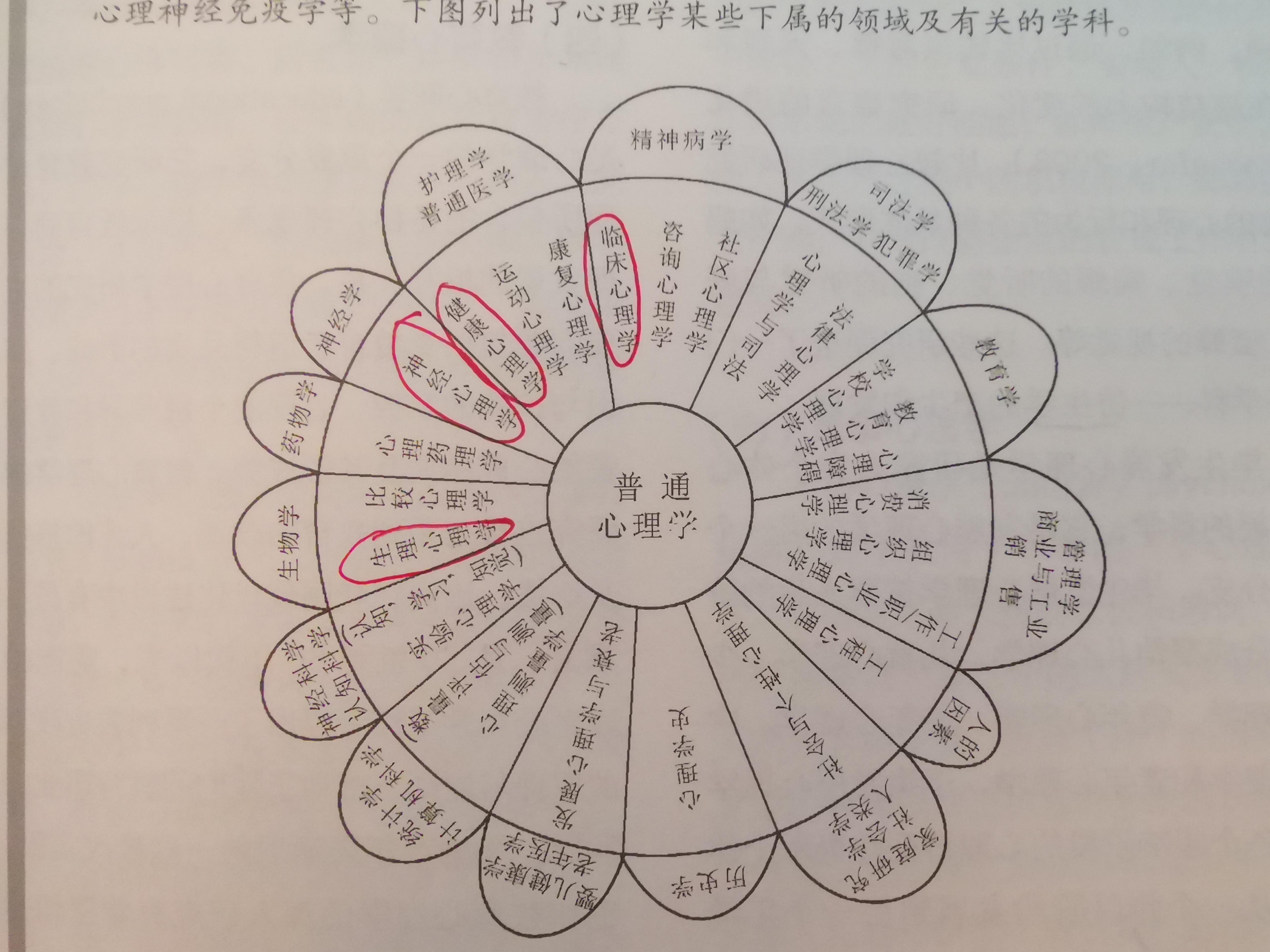 心理学神奇的图片解读图片