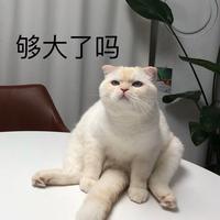 19cm(大号早已被封) ​ ​ 查看详细资料 ​ 关注他 ​ 发