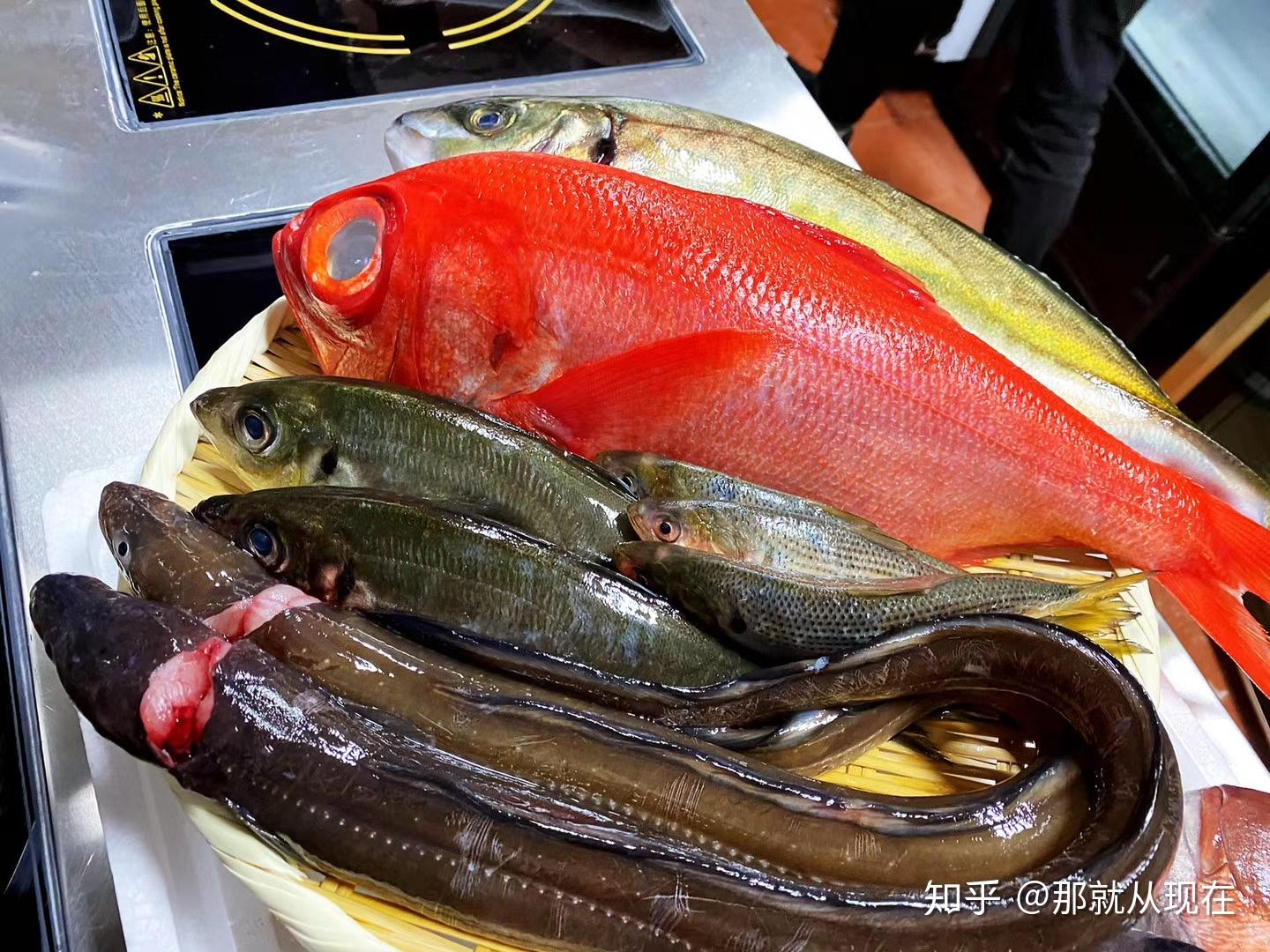 日料鱼类熟成简介