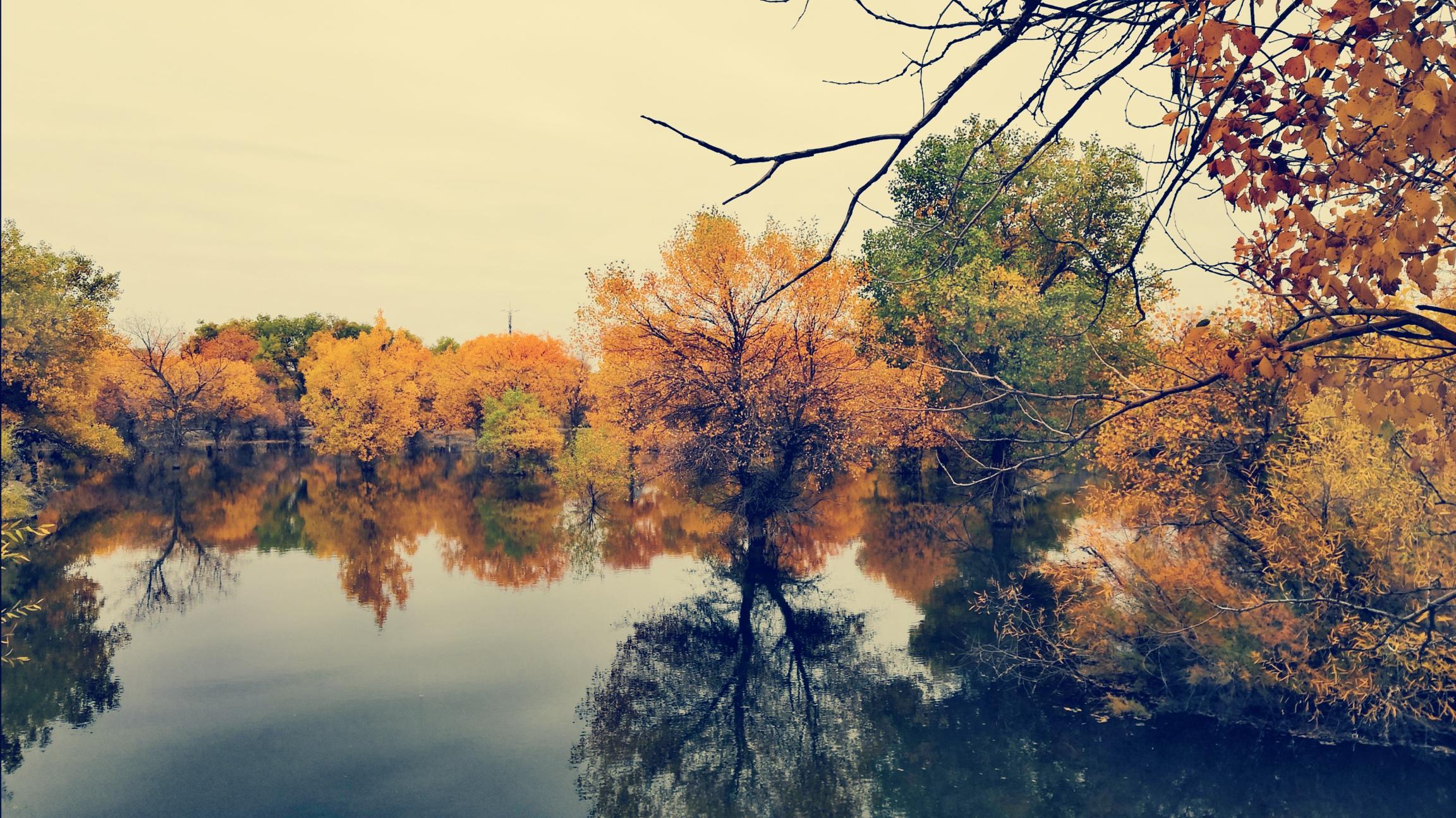 2019年你拍得最好的一张照片是什么它又有什么故事呢